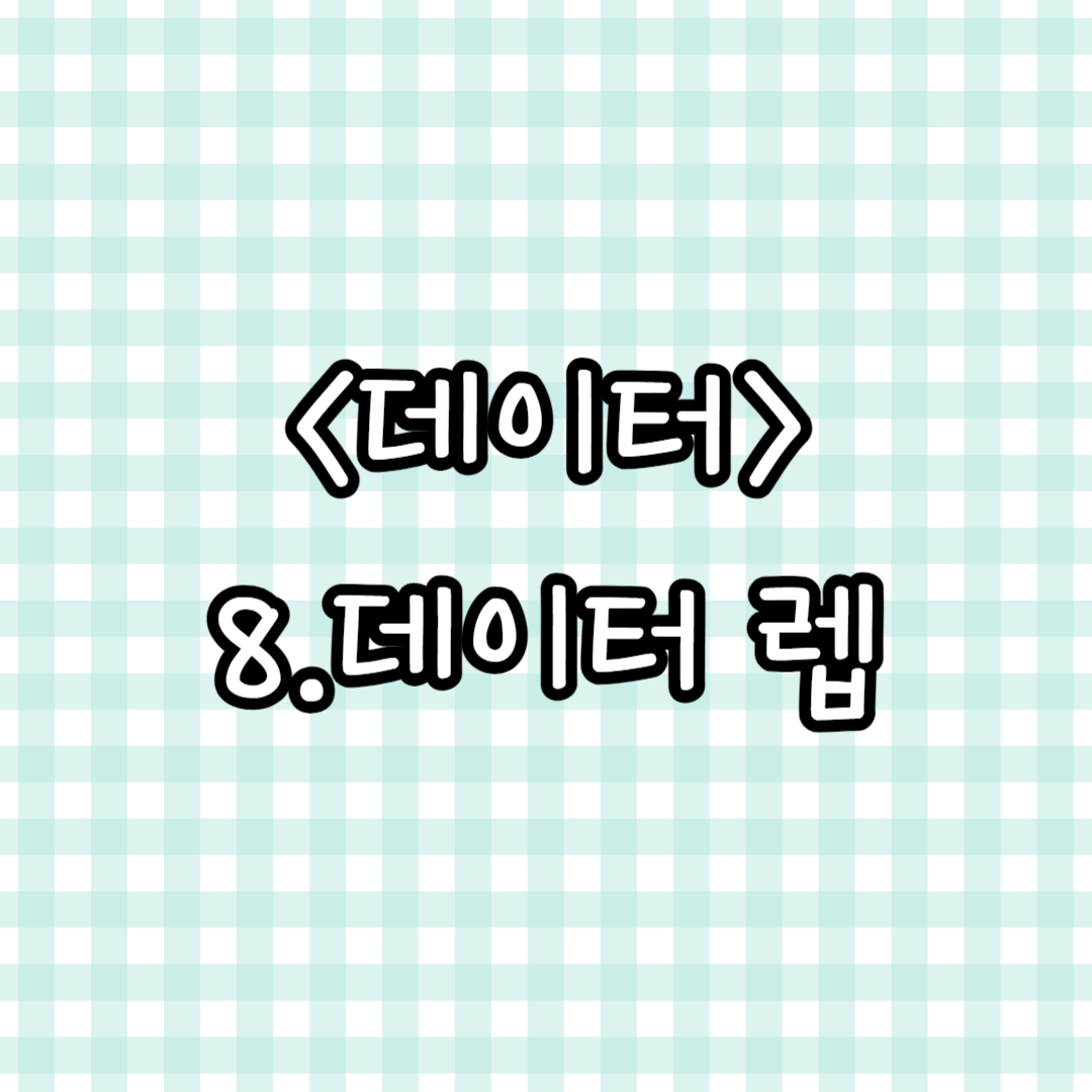 8.데이터 렙