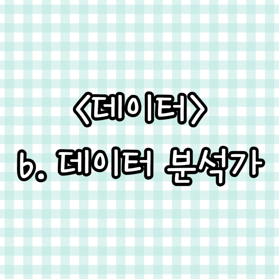 데이터 분석가