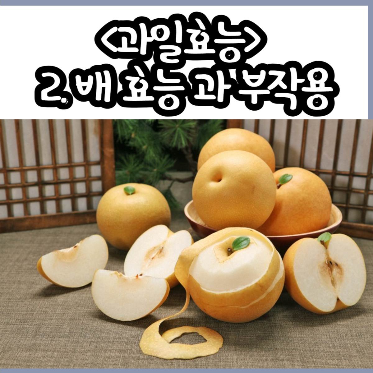 2. 배 효능 과 부작용
