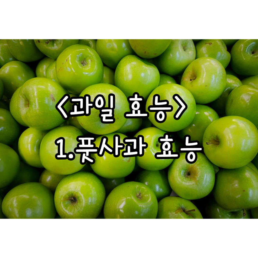 풋 사과 효능