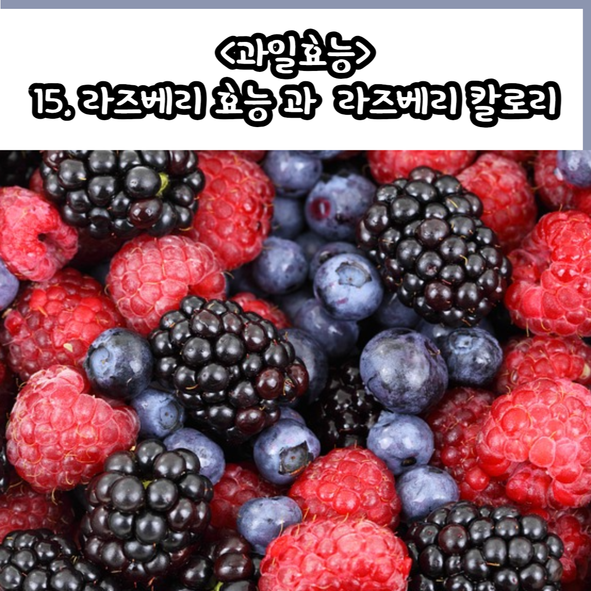 라즈베리 효능