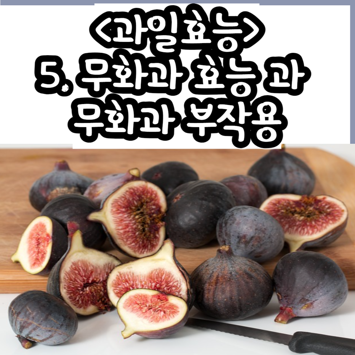 무화과 효능