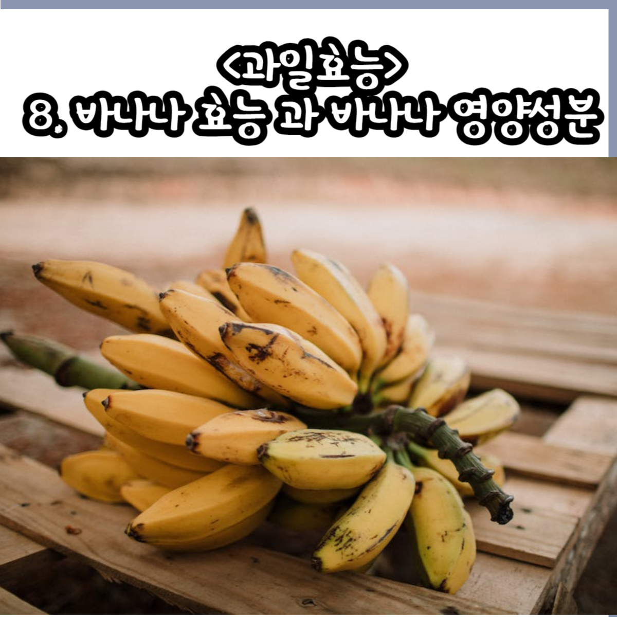 바나나 효능