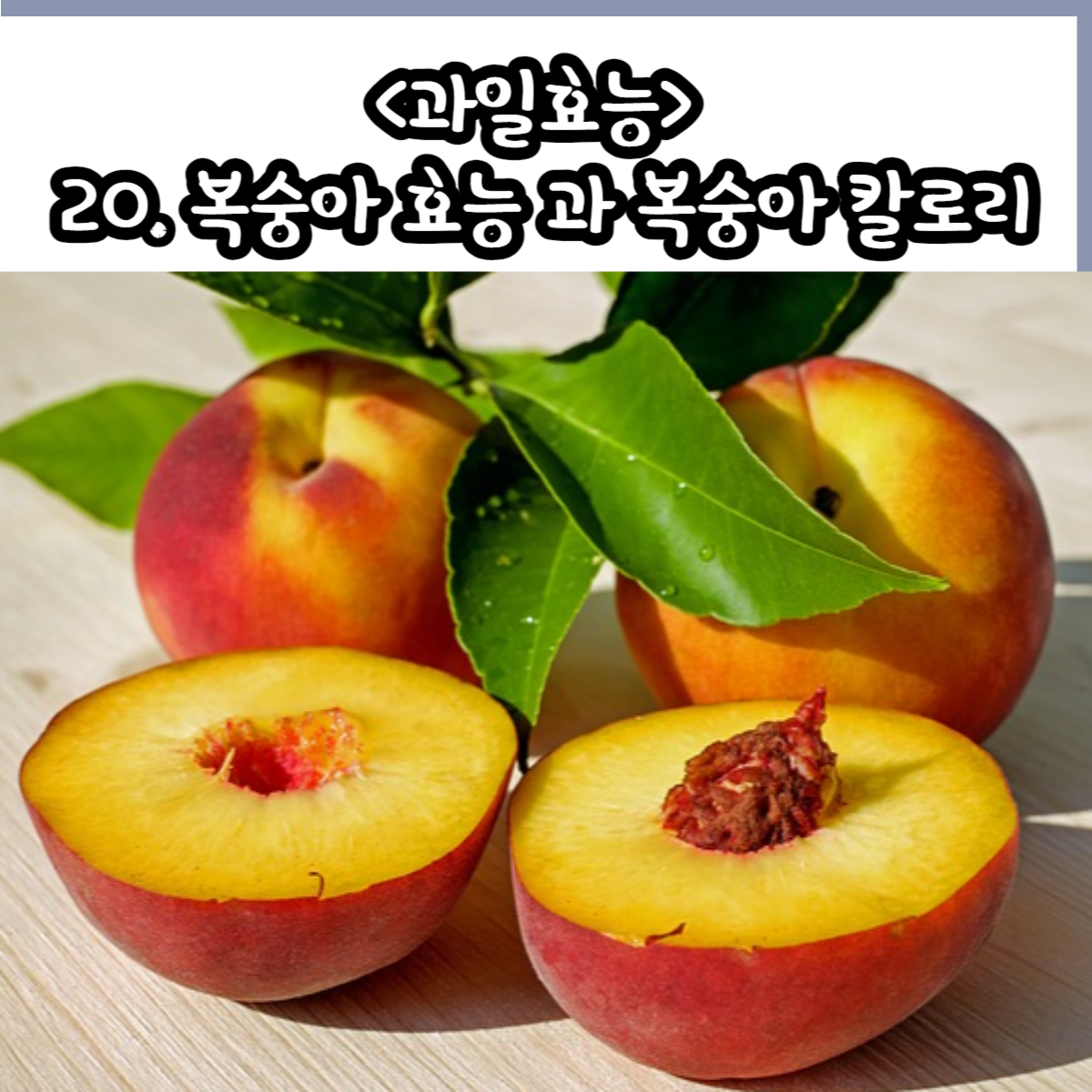복숭아 효능
