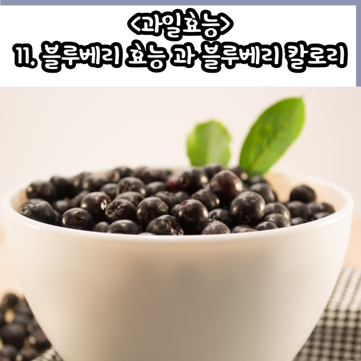 11. 블루베리 효능 과 블루베리 칼로리