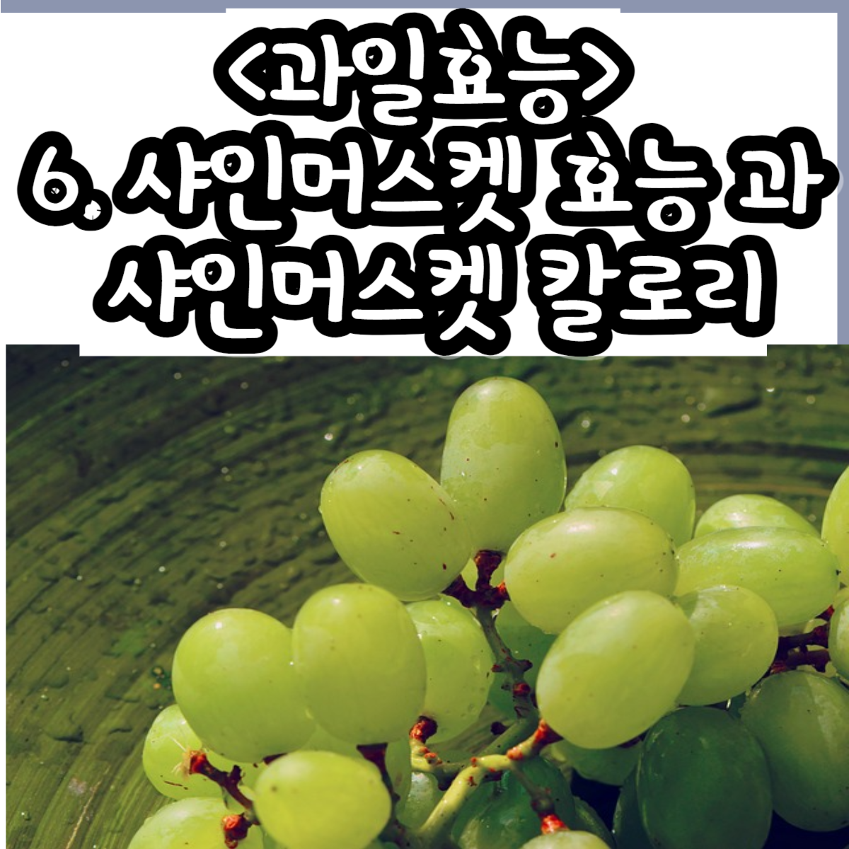 샤인머스켓 효능