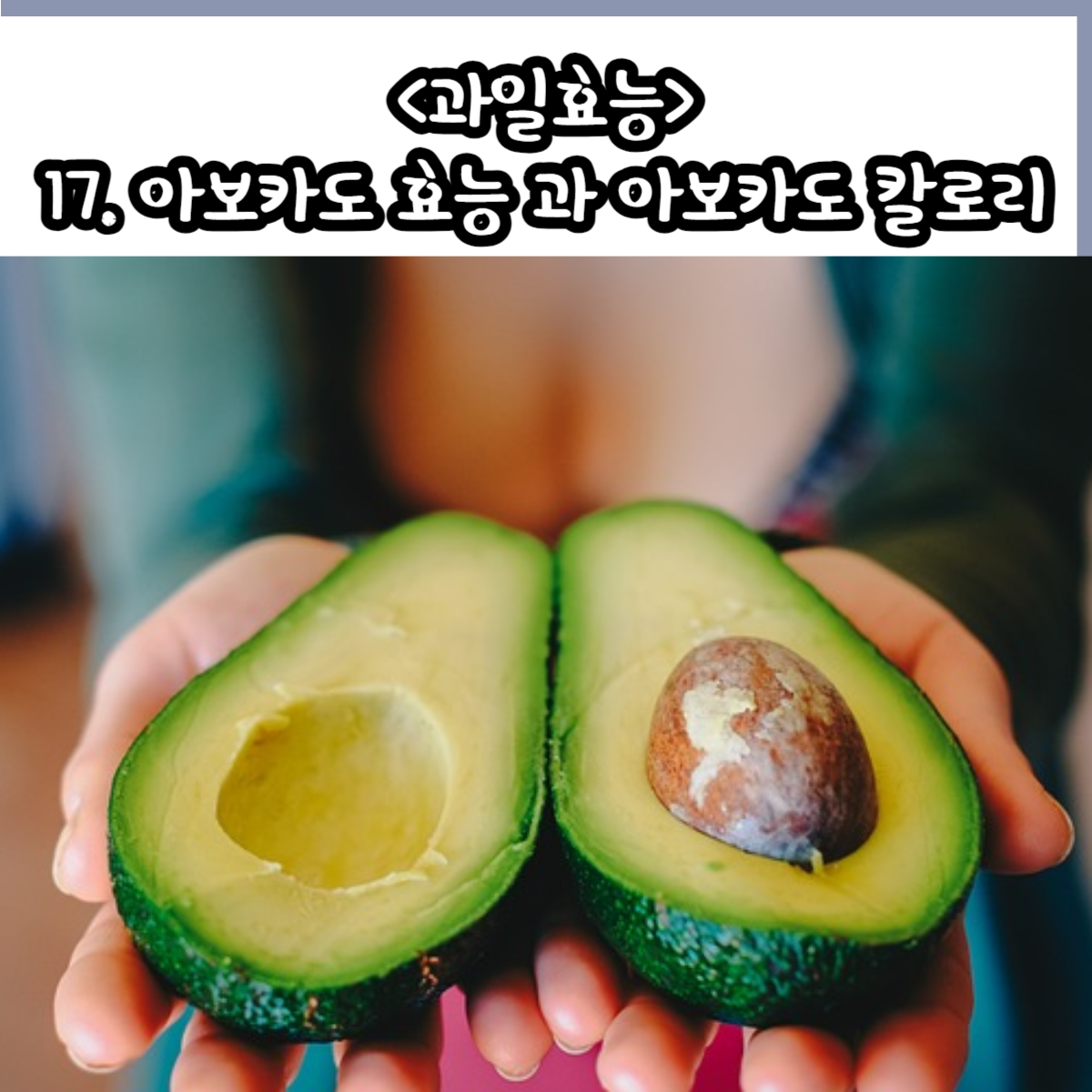 17. 아보카도 효능 과 아보카도 칼로리